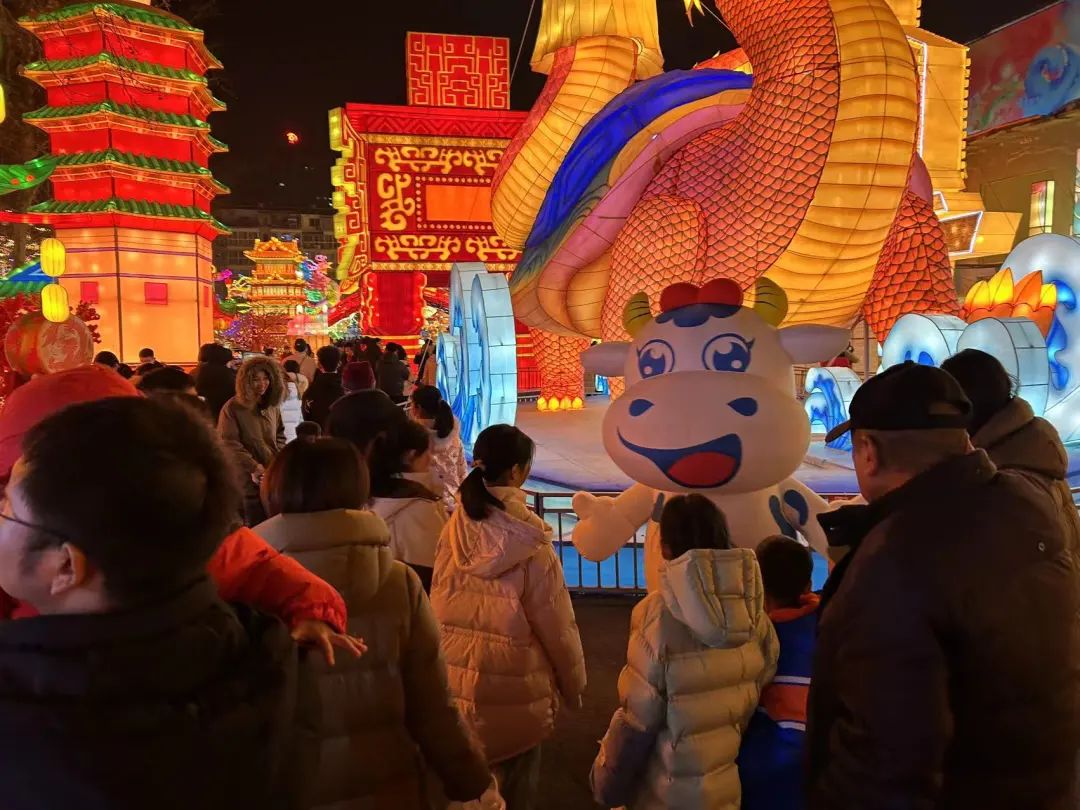 央視直播鄭州龍年燈會迎新春，花花牛品牌上大分