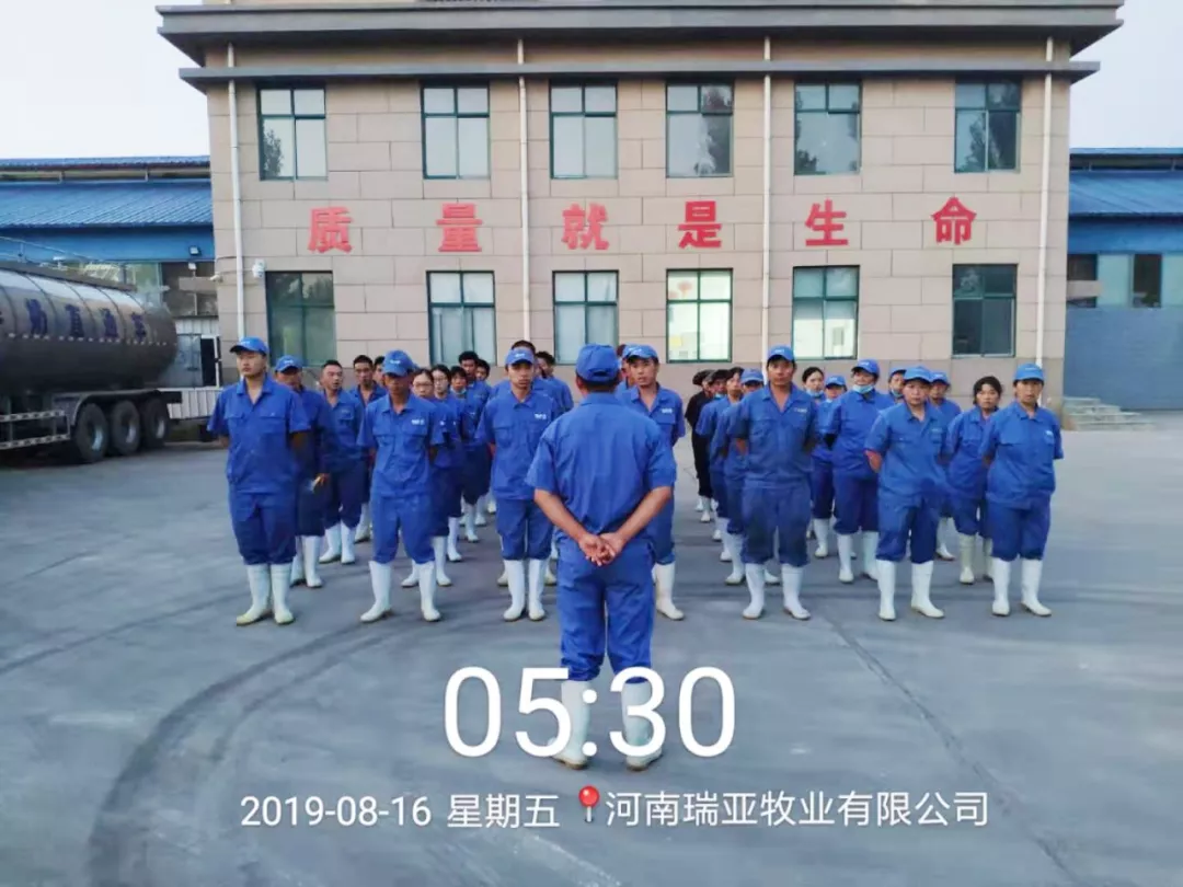 小晨會(huì)·大能量——砥礪奮進(jìn)的花花牛，加油！