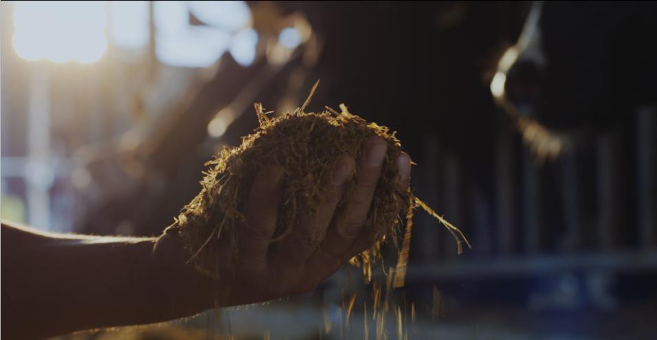 又雙叒叕獲獎啦！花花牛榮獲“乳品質量安全管理 優秀企業”