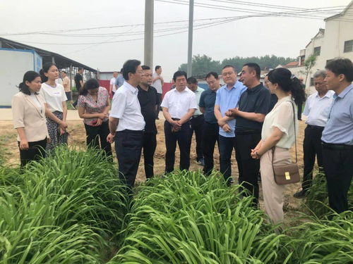 大力發(fā)展我省特色地標(biāo)農(nóng)產(chǎn)品種植加工，盡快提升產(chǎn)業(yè)化水平調(diào)研