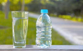 飲用水澆花 不同水種的利弊分析與實用建議